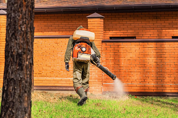 Trusted Termite Control service in Manchester, PA - Nex Pest Control